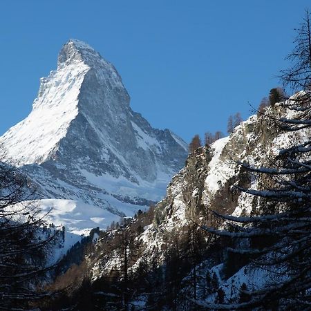 Bolero 4.5 Dachzimmerwohnung Zermatt Eksteriør billede