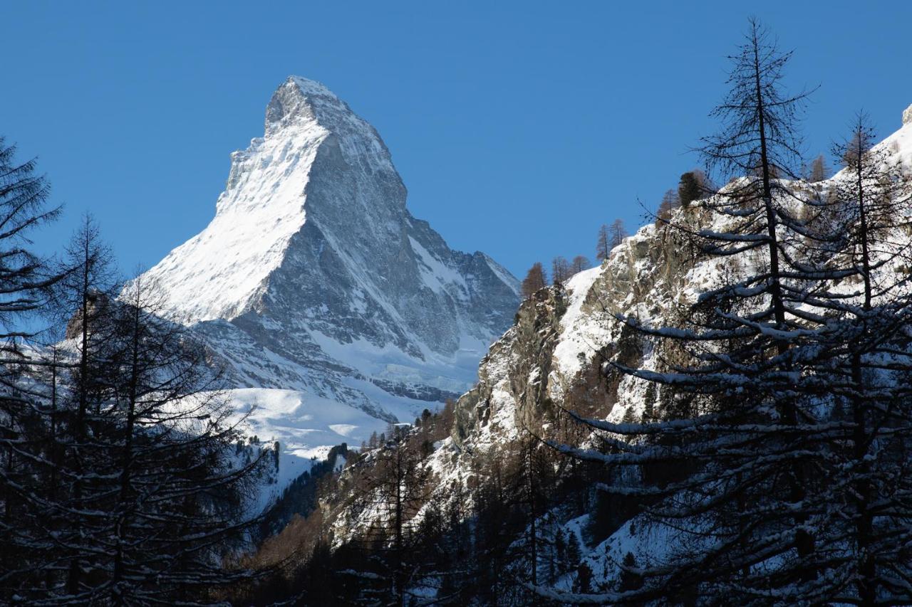 Bolero 4.5 Dachzimmerwohnung Zermatt Eksteriør billede